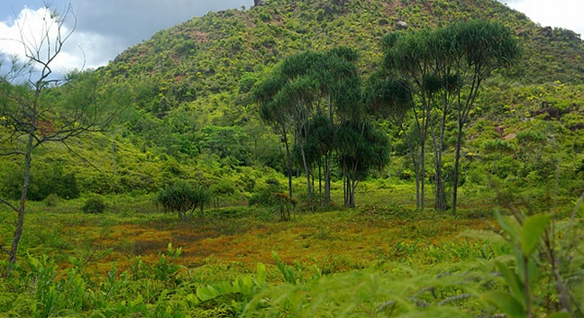 EXCURSIONS  - MAHE - Mahé