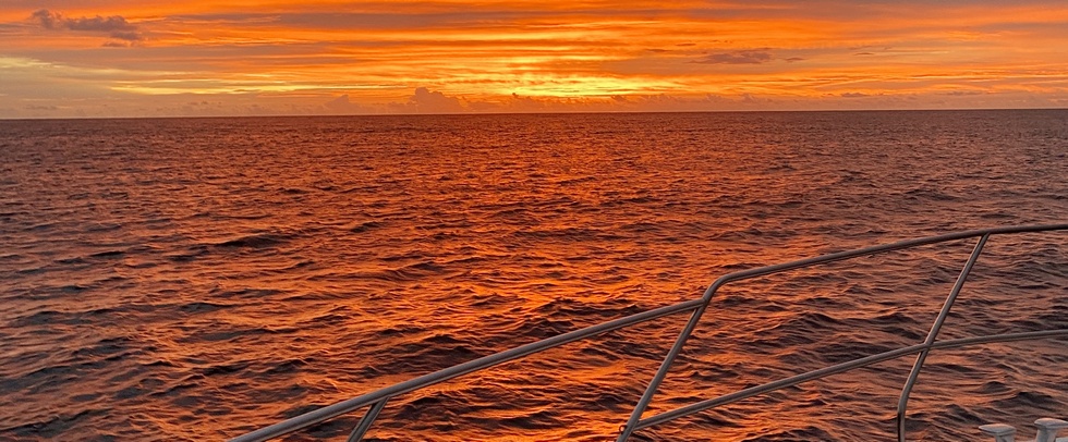 NIVA LABRIZ SEYCHELLES - Silhouette